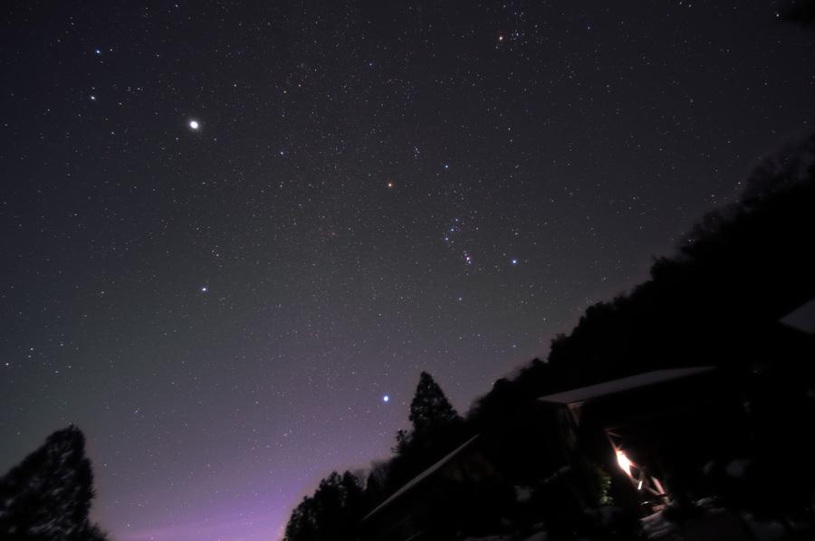 夢の森うさぎで観る星空（参考：冬の星空）